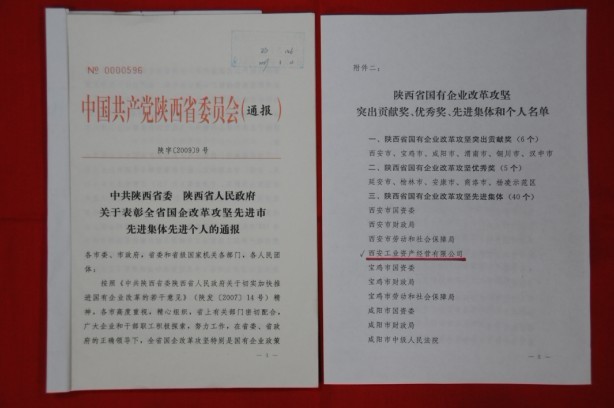 2009年2月，被陜西省委、省政府授予陜西省國有企業改革攻堅先進集體